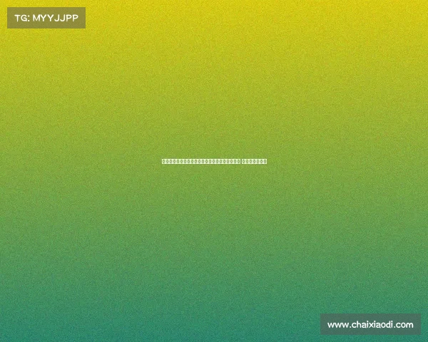 沈阳、锦州、葫芦岛三地联合举办辽宁上海热身赛 沈阳首战引关注